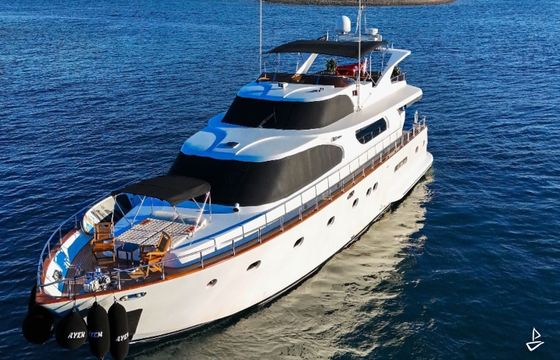 Custom Made Motoryacht