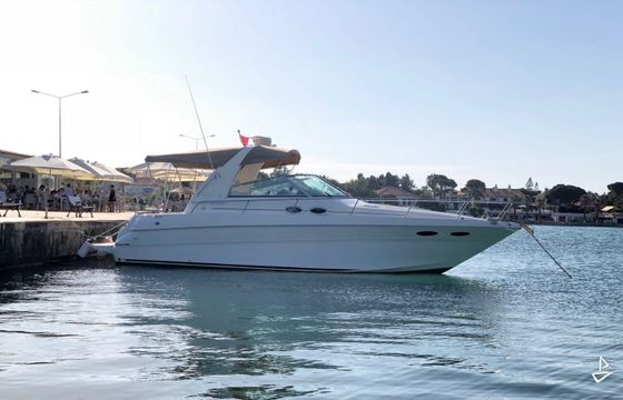 Searay Sundancer