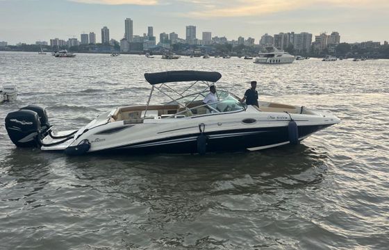 Sea Ray SDX 290