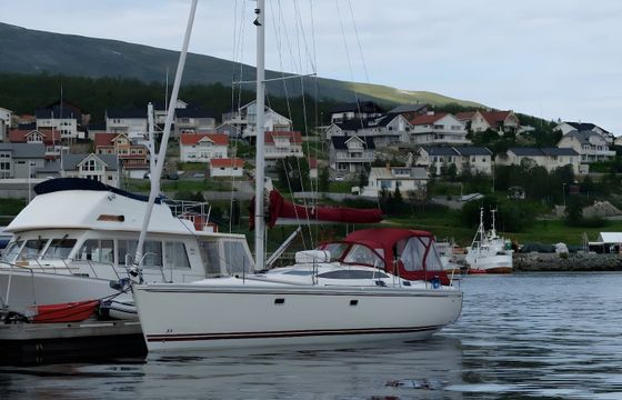 Delphia 40