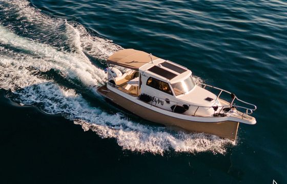 Leidi 660