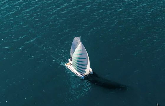 Lagoon 43