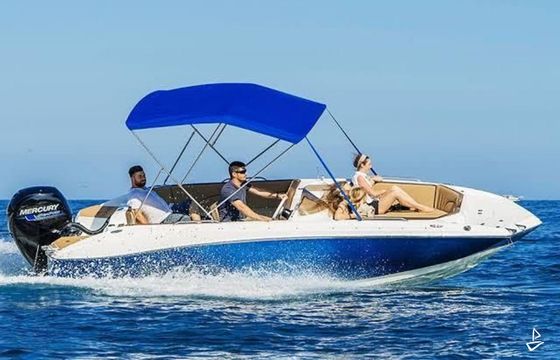 Alesta Sea Max 6.20