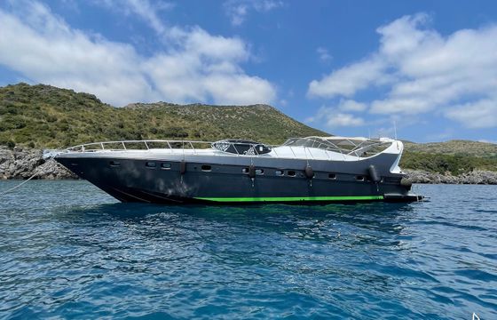 Mangusta 65