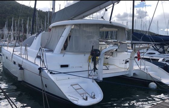 Leopard 43