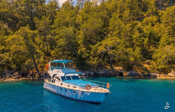 Custom Made Motoryacht