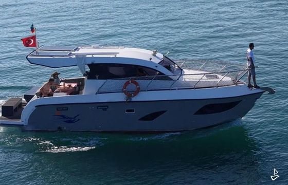 Brama Success 35