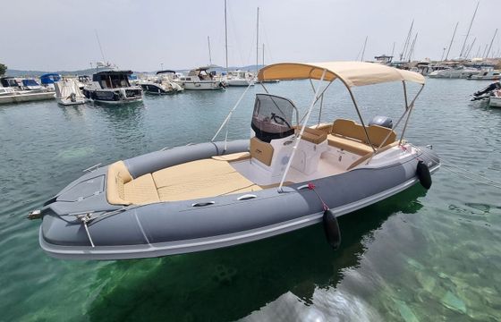Salpa Soleil 20