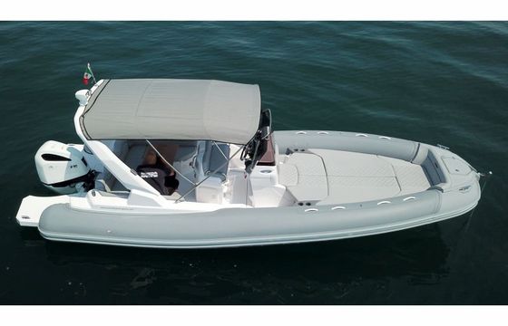 Salpa Soleil 26