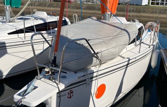 Maxus 26
