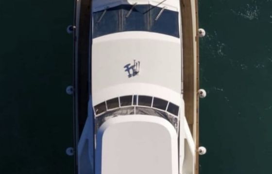 Falcon 80 Fly