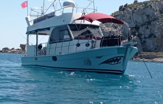 Custom Made Motoryacht