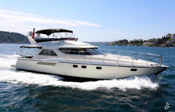 Princess 480