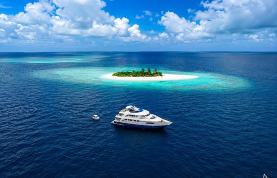 Custom Made Motoryacht