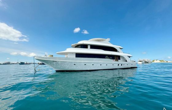 Custom Made Motoryacht