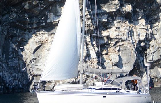Delphia 40