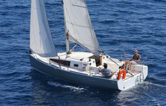 Django 770 Biquille