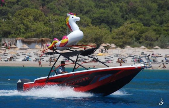 Custom Made Motorboat