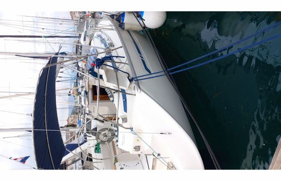 Bavaria 36 Cruiser