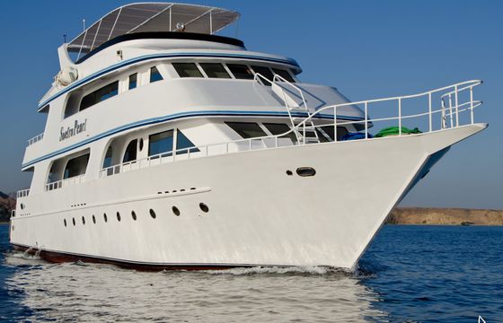 Custom Made Motoryacht