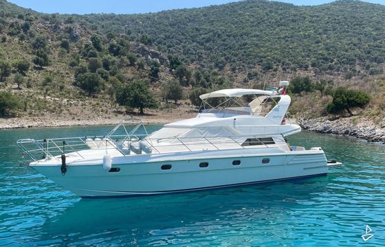 Gulf Craft Majesty 56