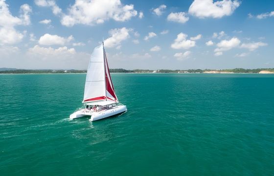 Ocean Voyager 53