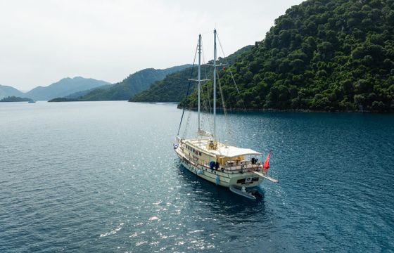 Bodrum Gulet