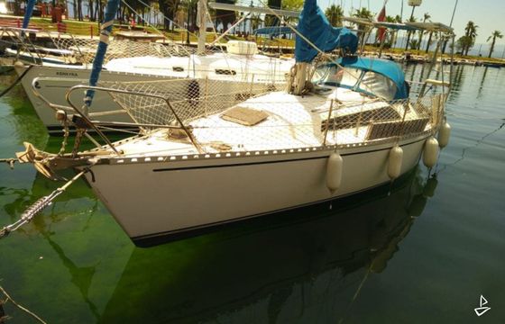 Algomar Rainbow 940