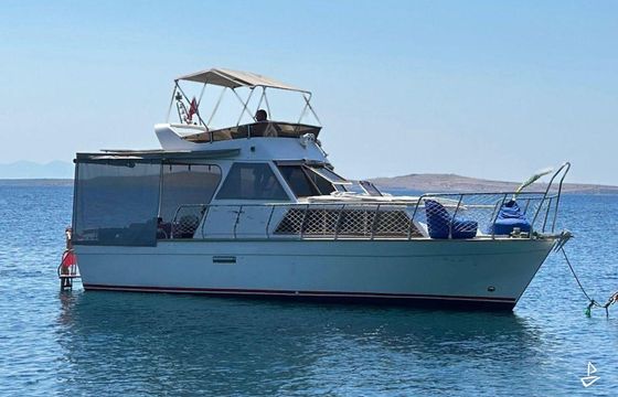 Custom Made Motoryacht