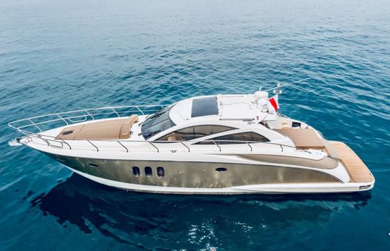 Astondoa 54