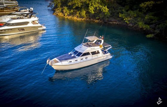 Princess 42