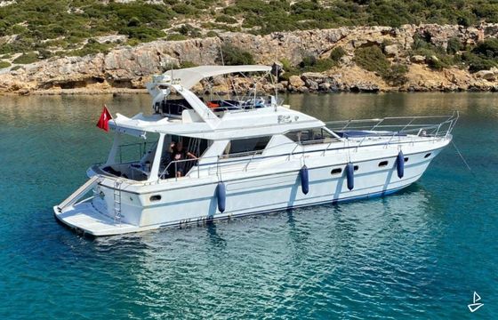 Princess 55
