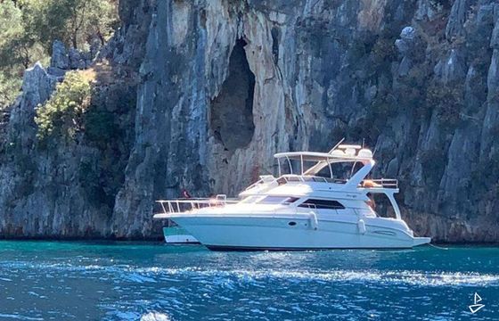 Sea Ray Sea Ray 335 Sundancer