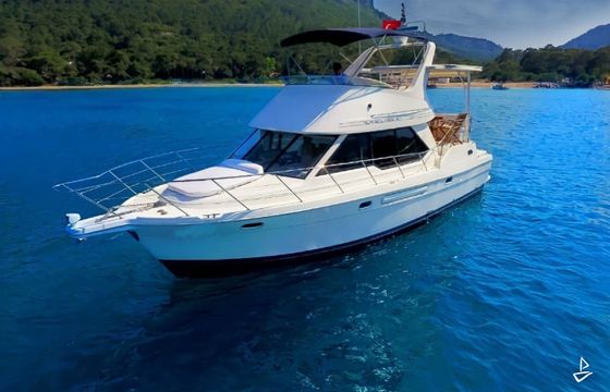 Bayliner 4388 Motoryacht