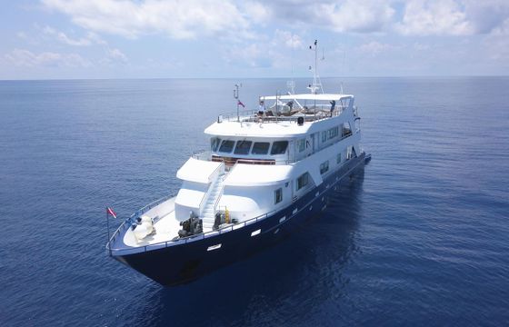 M/Y M/Y