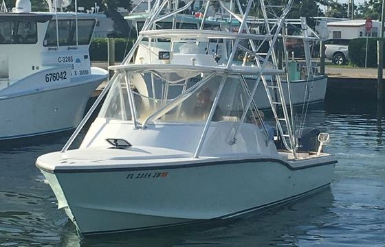 Ocean Master 31
