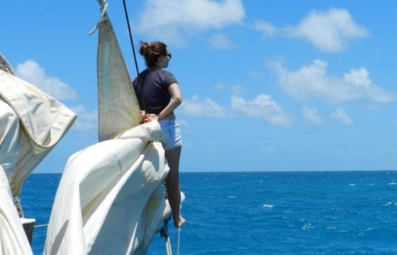 M/S 56