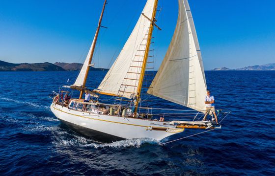 Traditional 46