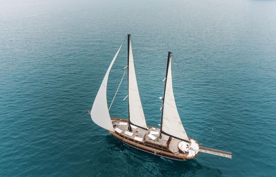 Custom Gullet 80