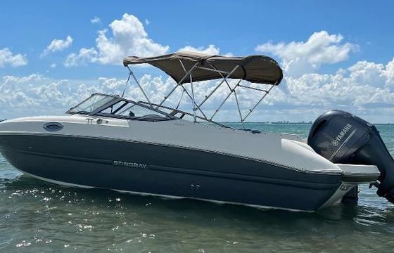 Stingray 24