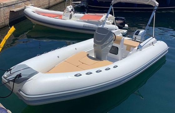 RIB 5.50
