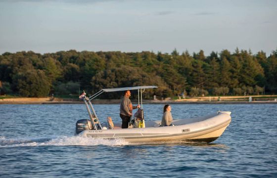 Stingher 550