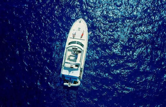 Piantoni Fantasy 45