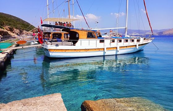 Custom Daily private boat tour