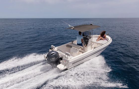 Nikita 550