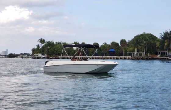 Bayliner E21