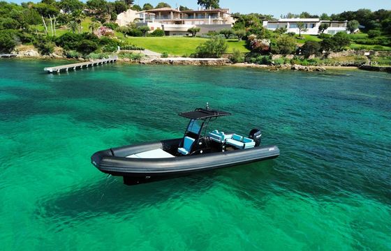 Sea Water Phantom 260