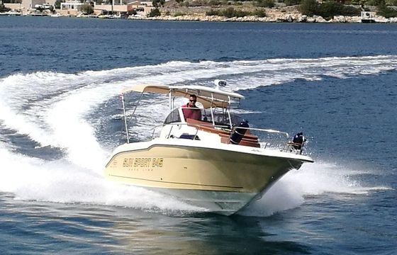 Sea Ray Sun Sport 845 deck line