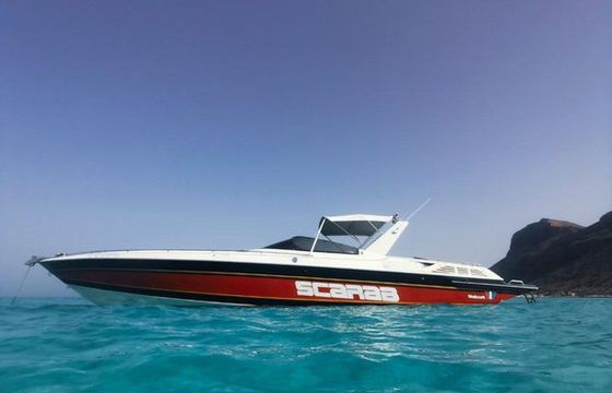 Wellcraft Scarab 31