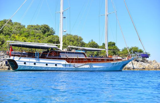 M/S ketçh